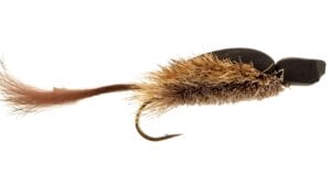 Morrish Mouse Fly