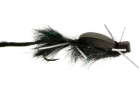 Nervous Neda Croff's Mouse Fly