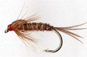 Pheasant Tail Nymph