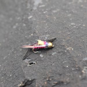 Tungsten pheasant tail fly