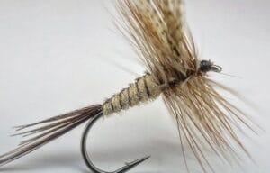 Quill Gordon dry fly