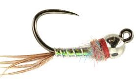 Rainbow Warrior Tungsten Bead fly