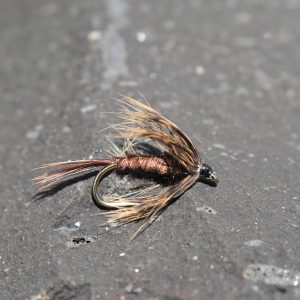 Soft hackle Pheasant tail