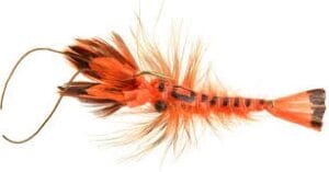 Softshell Crayfish Bass Fly