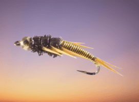 Stonefly Nymph, Wired, Bead Head, Golden fly