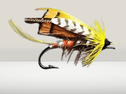 The Major Salmon Fly (Tolfrey Major) | Classic Victorian Salmon Fly Pattern