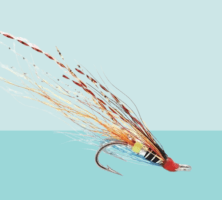 Tronach Shrimp Salmon Fly