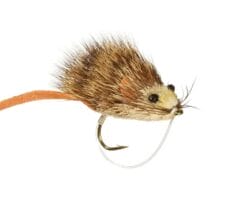 Whit's Mouserat Mouse Fly