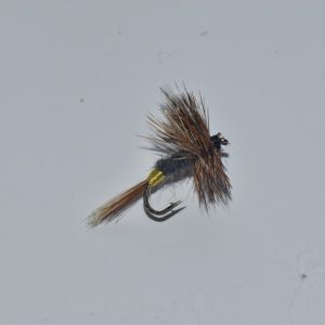 adams female