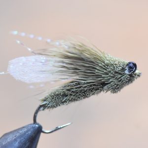 cicada fly olive
