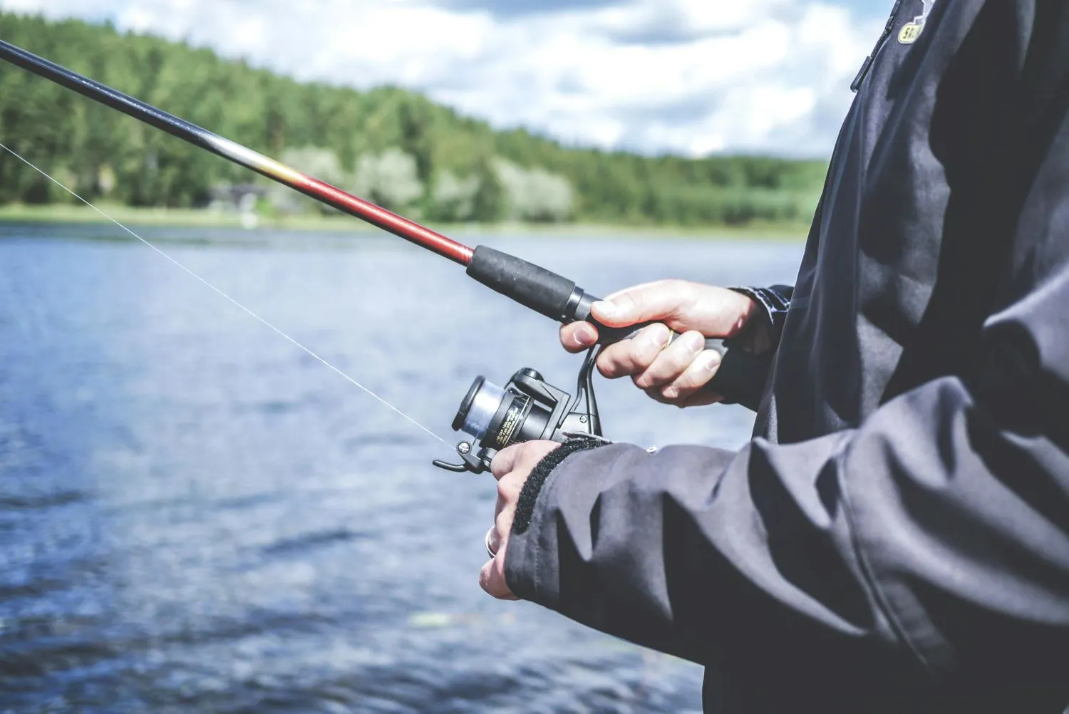 The Ultimate Guide to Selecting the Right Fishing Bait