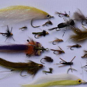 assorted flies