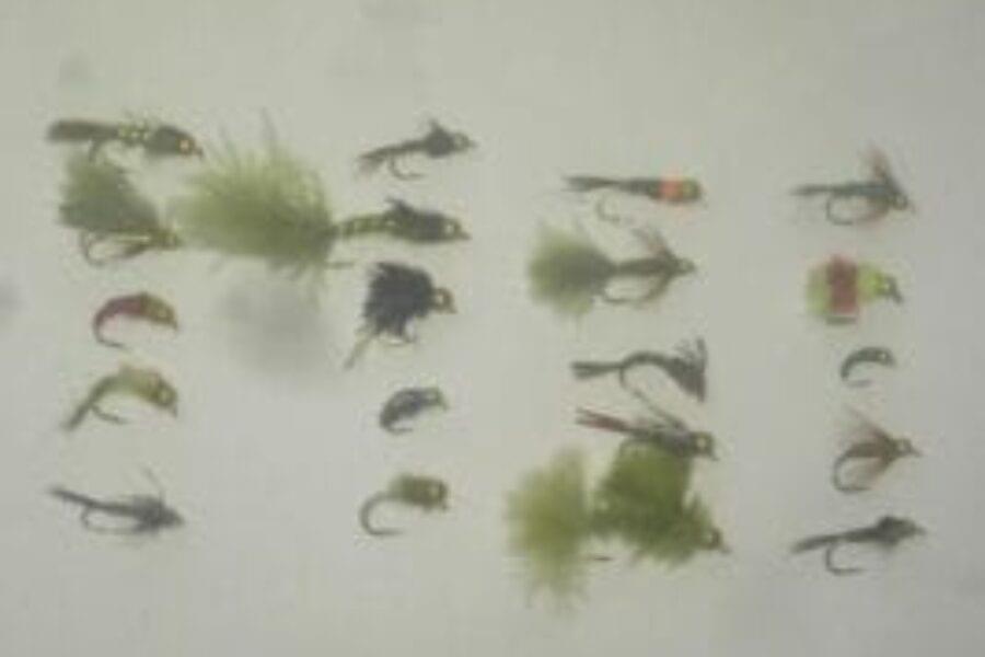 25 Assorted tungsten bead head fly fishing flies