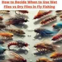 How to Decide When to Use Wet Flies vs Dry Flies in Fly Fishing