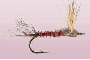 Mayflies