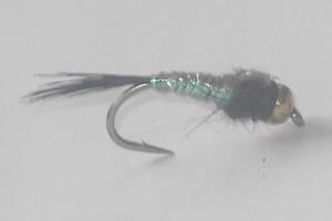Nymph flies