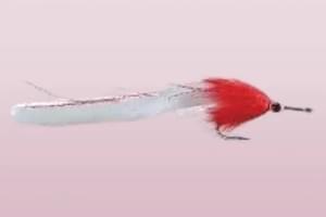 saltwater flies